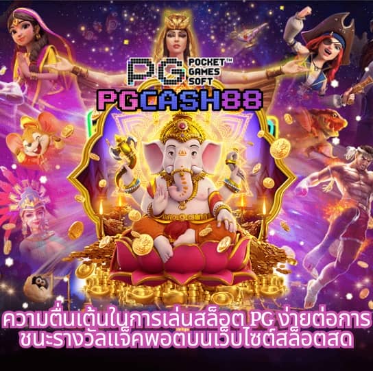 cat999 สมัครสมาชิก